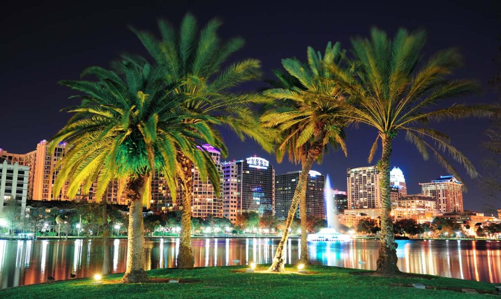 Palm trees with Downtown Orlando in the background at night